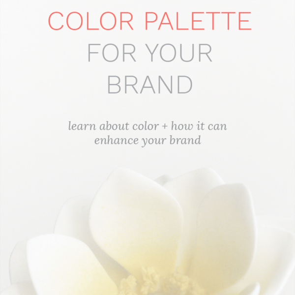 a color palette for your brand, color palettes for a brand, colors for a brand, how to pick colors for a brand, color theory, psychology of color