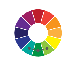 a color palette for your brand, color palettes for a brand, colors for a brand, how to pick colors for a brand, color theory, psychology of color